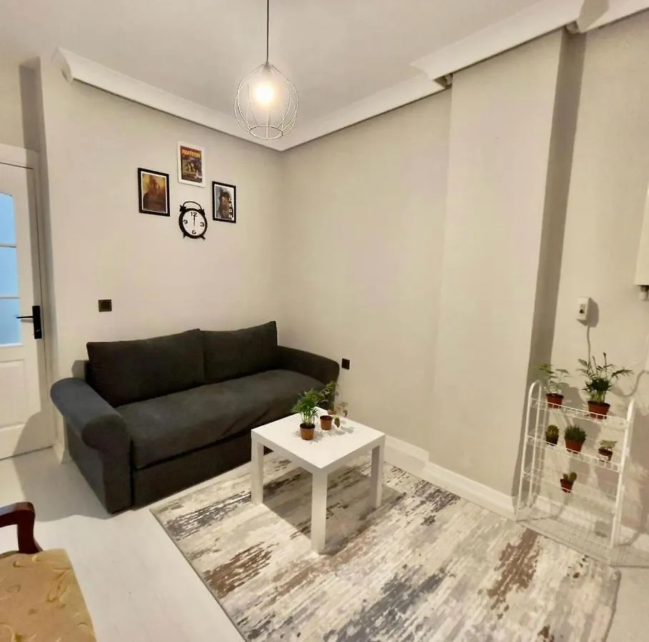 Taksim Maria Luxury Apartment 伊斯坦布尔 0*,