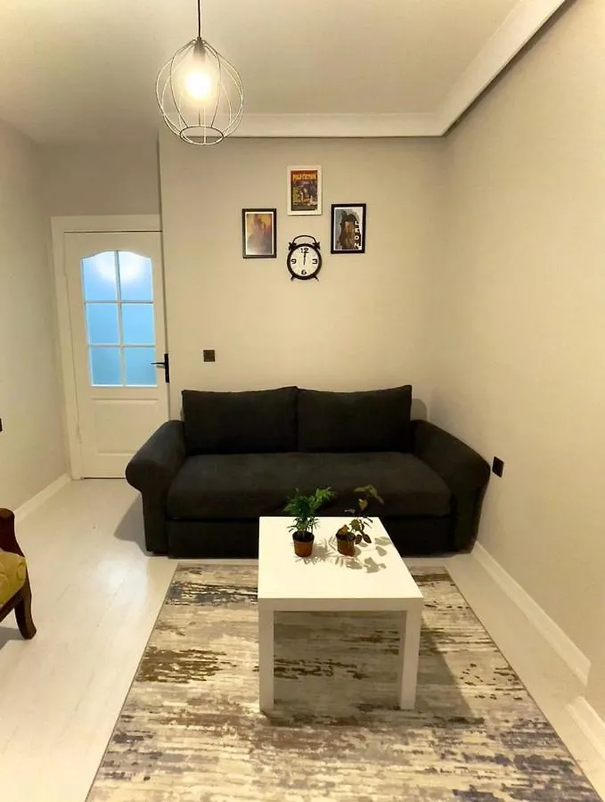 Taksim Maria Luxury Apartment 伊斯坦布尔