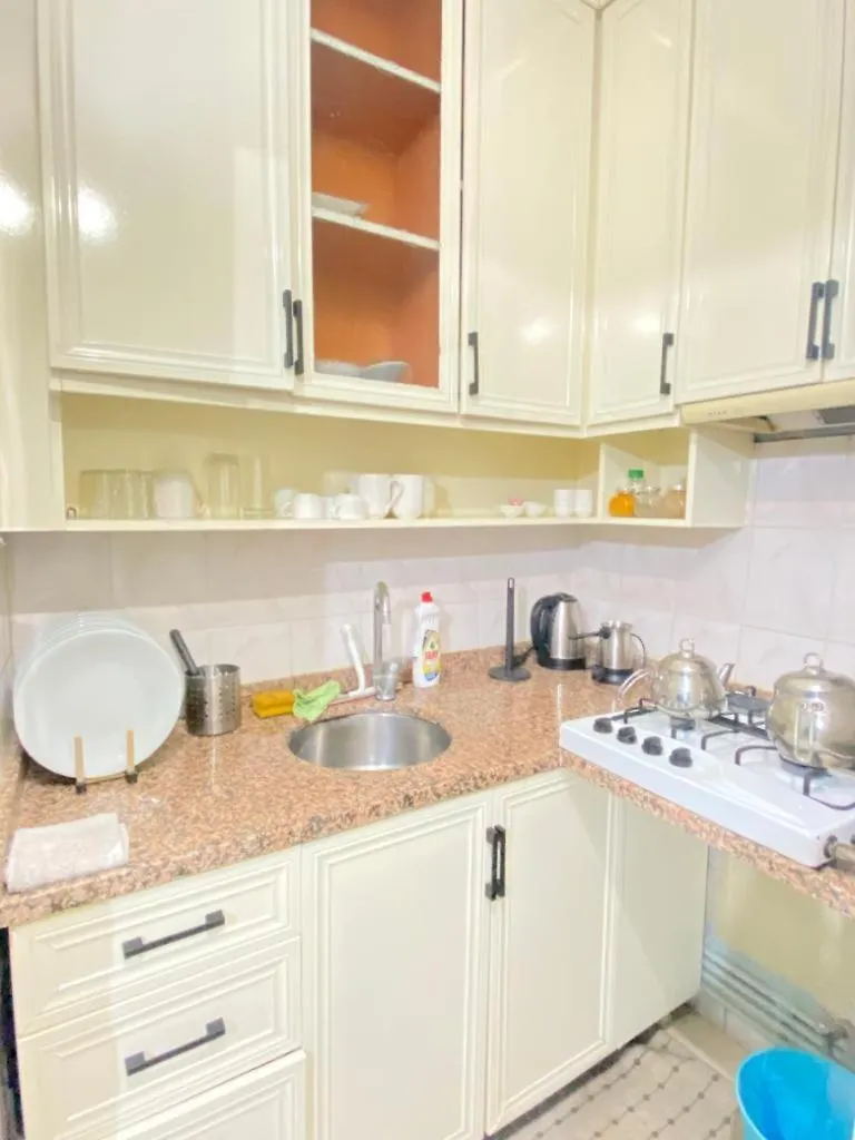 Taksim Maria Luxury Apartment 伊斯坦布尔 土耳其